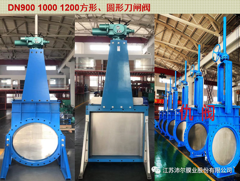 2024072510673701.jpg 24.jpg