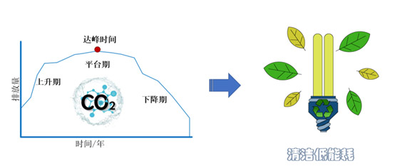 2024072512189597.jpg 3.jpg