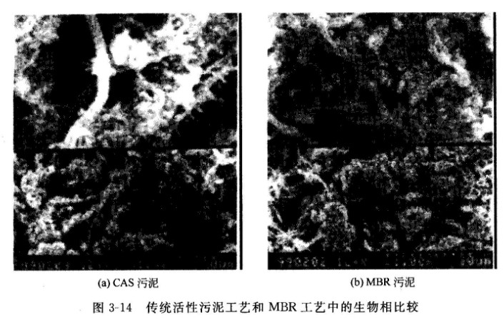 2024072516791528.jpg 1679498071.jpg