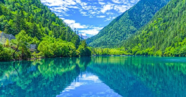 2024072517794085.jpg 10.jpg