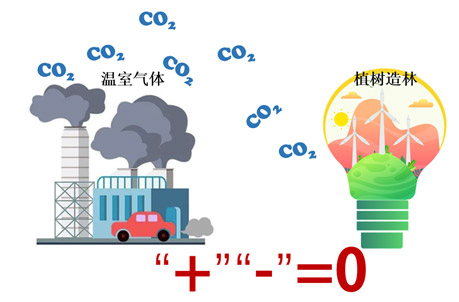 2024072540046209.jpg 4.jpg