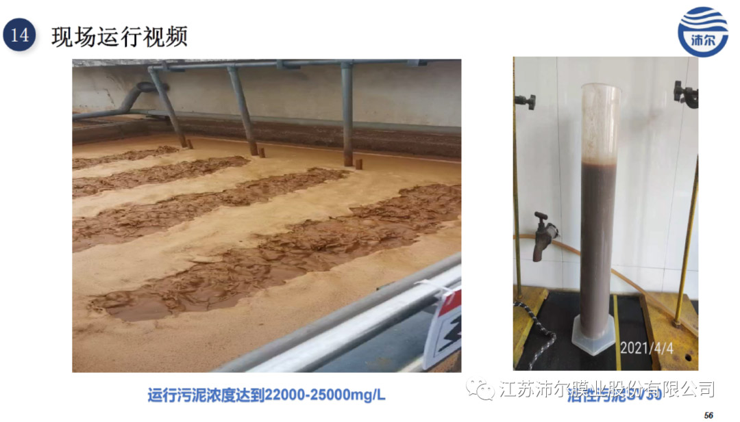 2024072543947792.jpg 8.jpg