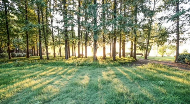 2024072559572703.jpg 9.jpg