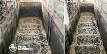 2025073052513945.jpg 8.jpg