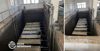 2025073077725195.jpg 7.jpg