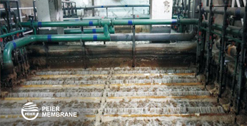 2025073096028593.jpg 6.jpg