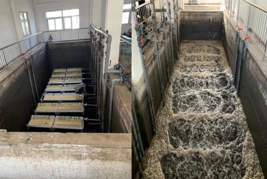 2025073099636362.jpg 3.jpg